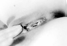 The sexy woman tells her partner to fuck me now