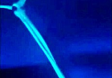 compilation of teen traps from argentina being sluts