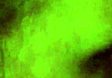 Savage in the action scene