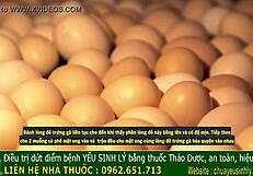 Ancient King's Secret To Cure Male Impotence