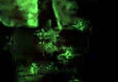 exploring my secret life in vintage nostalgia