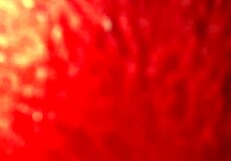 Que rico me moldea sus uñas, esa latina mexicana amateur es tan hábil con sus uñas en este video casero!