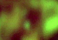 anal fingering and licking make this babe beg for rough action!