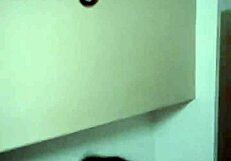 My Stepsister Rides My Dick Perfectly In Cowgirl Position.