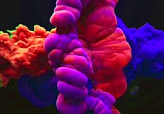 Brazilian Milf Brunette Takes Big Cock In Long Anal And Oral Session