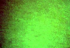 Quarantine Turns Oily Horny Brownie Into A Teasing Ass Adventure - Or Is It Just Lonely Fun?