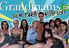 Why Is This Cougar Going Wild with Toys in Frenzy?