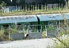 Cute Blonde Teen 18+ Banged Hard in Public Gangbang