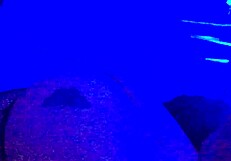 He saw that I was wet and satisfied my desire with a big cock