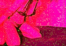 लेजीकैटडॉल - नया लिंगरी ट्राई करो, क्विकी के लिए जॉइन?