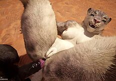 Wild Life Furry Hentai Unleashes Raw Anal Sex Action in Anime Style