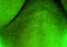 Uncle sneaks in for close-up oral action when alone in hentai anime