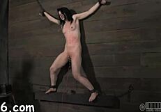 See sadomasochism fetishes with blowjobs and domination?