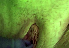 Shaved Pussy Close-Up Play Until She Cums!