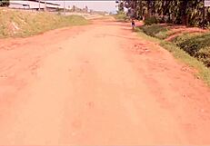 Anal creampie drizzles out of cindy after rough fucking and assfucking