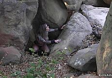 Busty Blonde Slave Tied Up and Deepthroating Monster Cock in Bondage