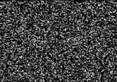 I Filmed the Couple's Secret Fuck Session Without Them Knowing