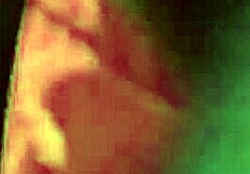 an amateur records a video at home with her partner