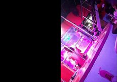 night club in ecuador where people dance