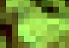 How far would you go to worship my feet in socks