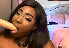 lexo butterflys passionately performs oral submission on a black ebony partner