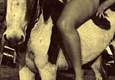 dark lantern entertainment presents beauty and the beast, oops i meant hairy beauty bent over