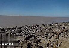 giving the cameraman a blowjob and cumshot