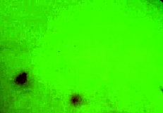 i feel the emotional rush of being an amateur fuck toy