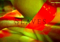 Mistress april dominates bound slaves in group bondage setup with deepthroat and fisting