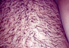 i love my big hairy ass