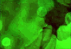 Discover the tenth x-eros music video in the series