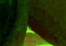 Curvy housewife milf cheats with big black cock in casting interview bridgette b