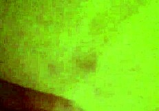 Curvy housewife milf cheats with big black cock in casting interview bridgette b