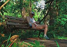 couple enjoys outdoor handjob in the forest