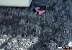 Huge Tits Lesbians Explore Toys at Party