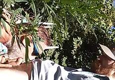 Hot Suck And Fuck In 420 Patch!