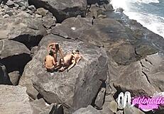 I saw amateurs transando on a public beach in Rio de Janeiro, bareback gay sex