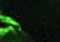 I Love Playing With Myself Using Vibrator