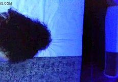 Chief Cheeroke Claps Fat Boriqua Booty in Doggystyle Fucking