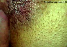 वाह, पार्टी में डॉगी स्टाइल से सब स्लाइड करो! 🐶