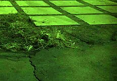 horny teen 18+ gets bound and dominated at home 😈