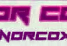 conor coxxx gets a tug after walking in on step sis