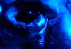 Worship this big black cock, hallelujah!