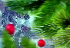 Sasha sparrow's pussy becomes old guy's christmas present with blowjob and riding