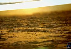 Four Lesbian Girlfriends Tease on Sunny Beach