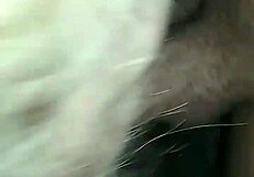 A mature milf performs a sloppy blowjob on a young big black cock and squirts everywhere