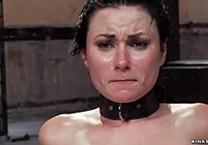 एनल स्लेव को हार्ड व्हिप्ड और इंटेंस बीडीएसएम सेशन में बँग्ड