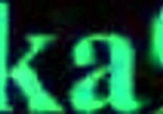 ushiwakamaru and scathach and astolfo intense sex - fate grand order hentai