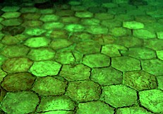 Astarion's detailed gay sex scenes with monster penis in baldurs gate 3.