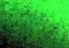 Best Milf Doggy POV Compilation Part 2 - Watch Now?